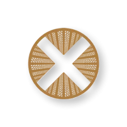 TownX Development