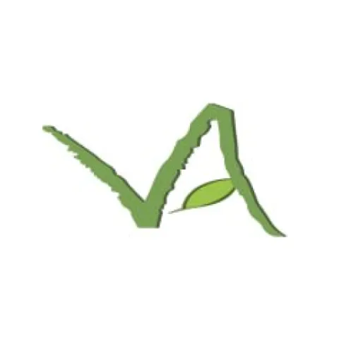 Vision Avenue Homes