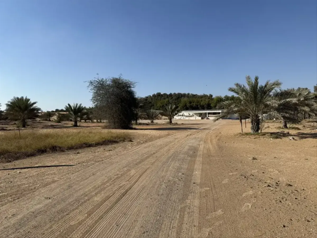 Al Zahya M — 1