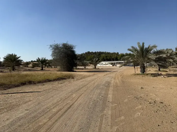 Al Zahya M