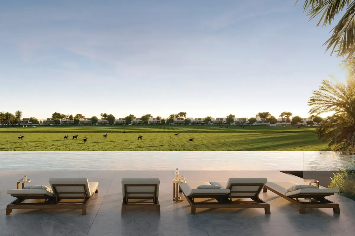 Chevalia Fields — 1