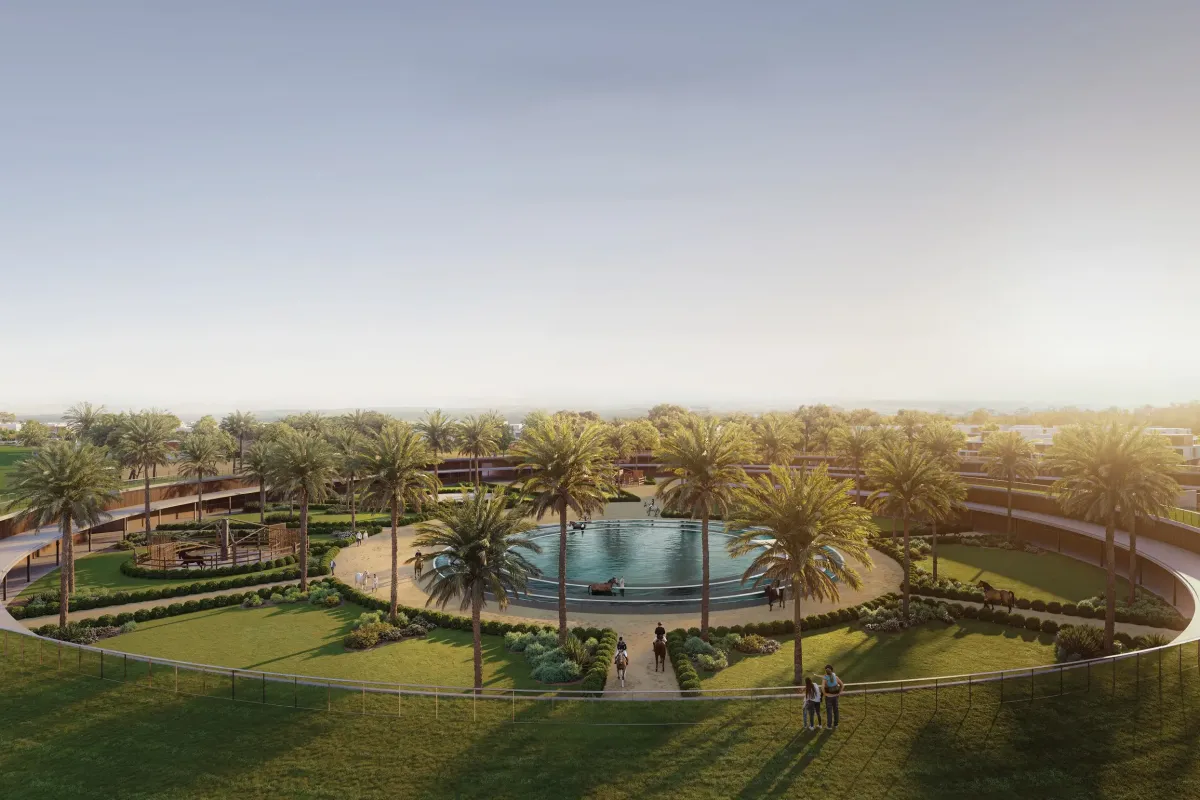 Chevalia Fields — 3