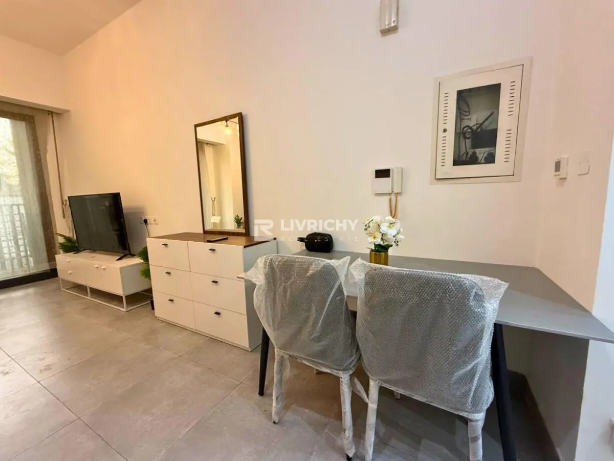 Furnished Studio | Landscape View | 12 Cheques — 3